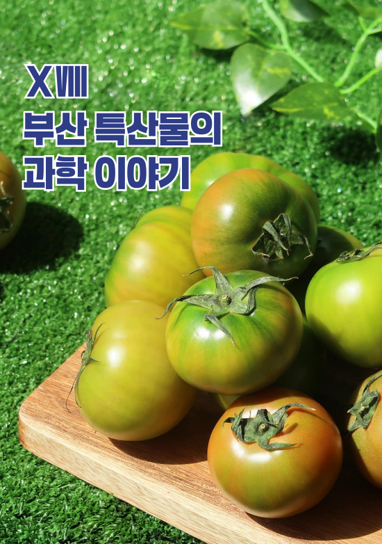 부산 특산물의 과학 이야기