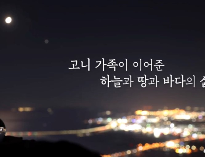 별자리속 철새이야기