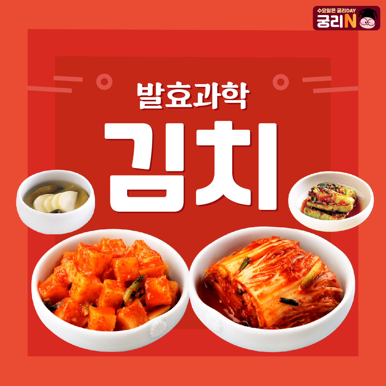 발효과학 \'김치\'