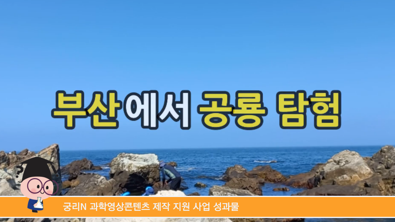 [궁리N] 부산에서 공룡 탐험