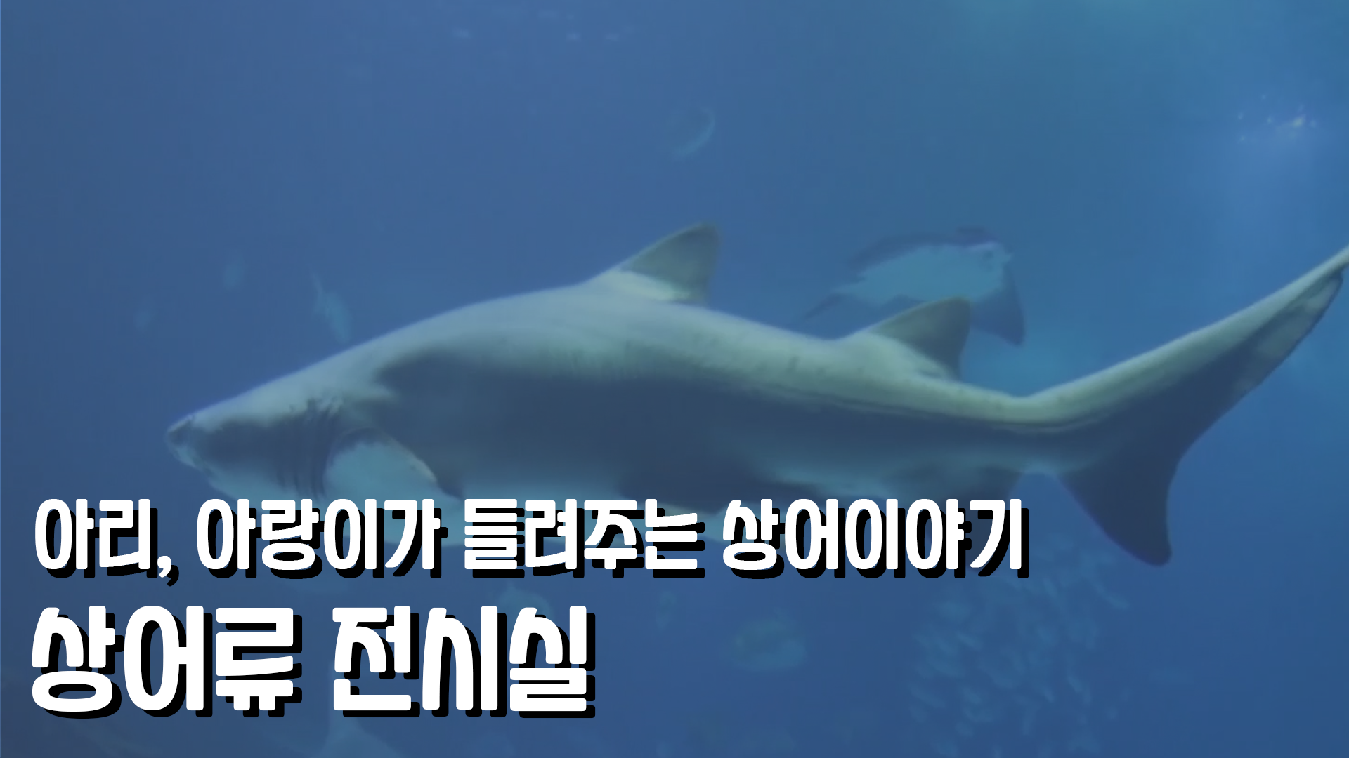 전시관 해설 영상_해양자연사박물관