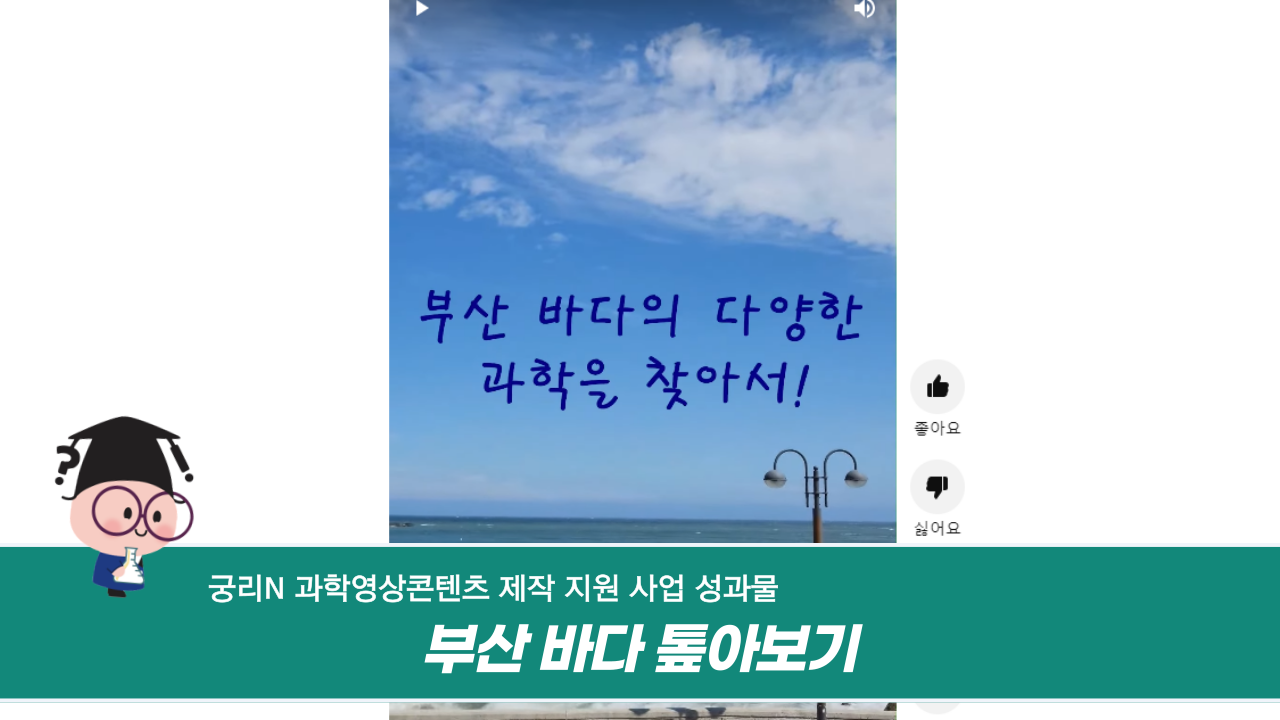 [궁리N] 부산 바다 톺아보기