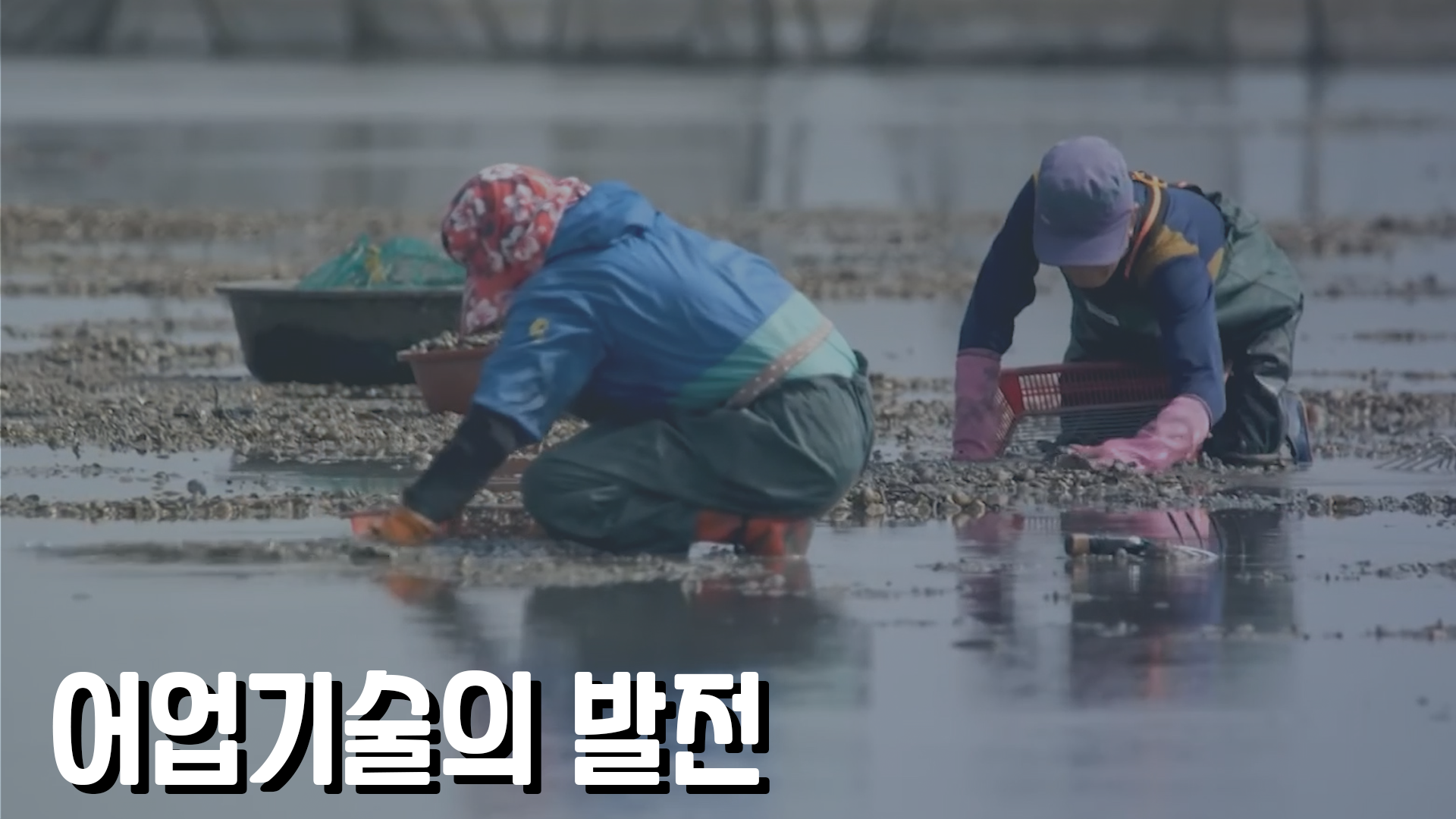 전시관 해설 영상_국립수산과학관